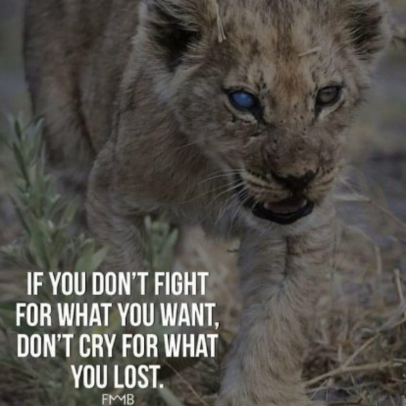 Meet your Posher, Kathy - Picture 6 of 16